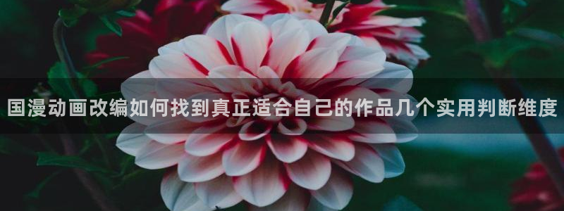 51漫画最新漫画大全:国漫动画改编如何找到真正适合自己的作品几个实用判断维度