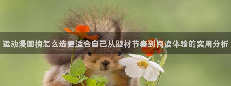 51漫画漫画热点:运动漫画榜怎么选更适合自己从题材节奏到阅读体验的实用分析