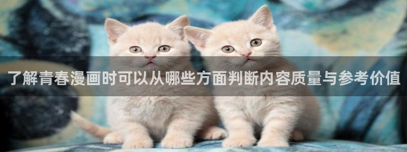 51漫画漫画连载:了解青春漫画时可以从哪些方面判断内容质量与参考价值