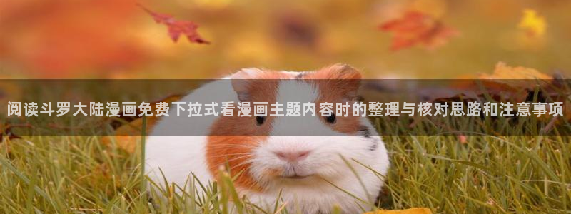 51漫画动作漫画:阅读斗罗大陆漫画免费下拉式看漫画主题内容时的整理与核对思路和注意事项